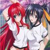 flat750x075f pad750x750f8f8f8 44 - High School DxD Store