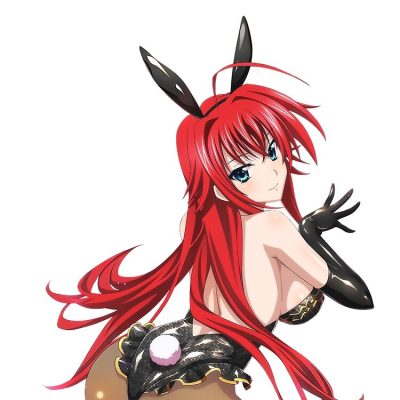 flat750x075f pad750x750f8f8f8 63 - High School DxD Store